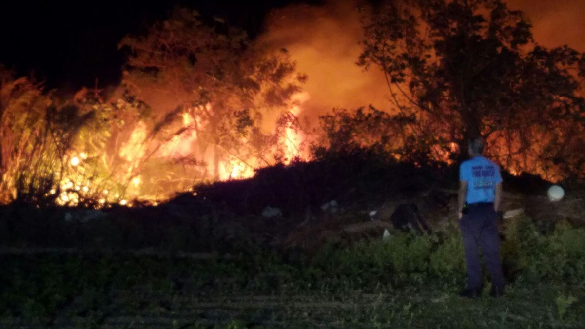 Crews Battle Brushfire in Florida City