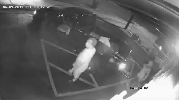 Authorities Searching For Dog Statue Thief In Oakland Park