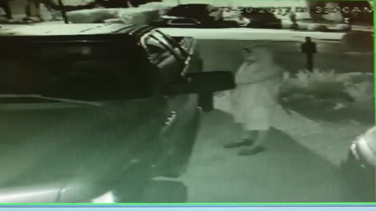 Burglars Targeting Pines Neighborhood Steal Gun, Car: Victim