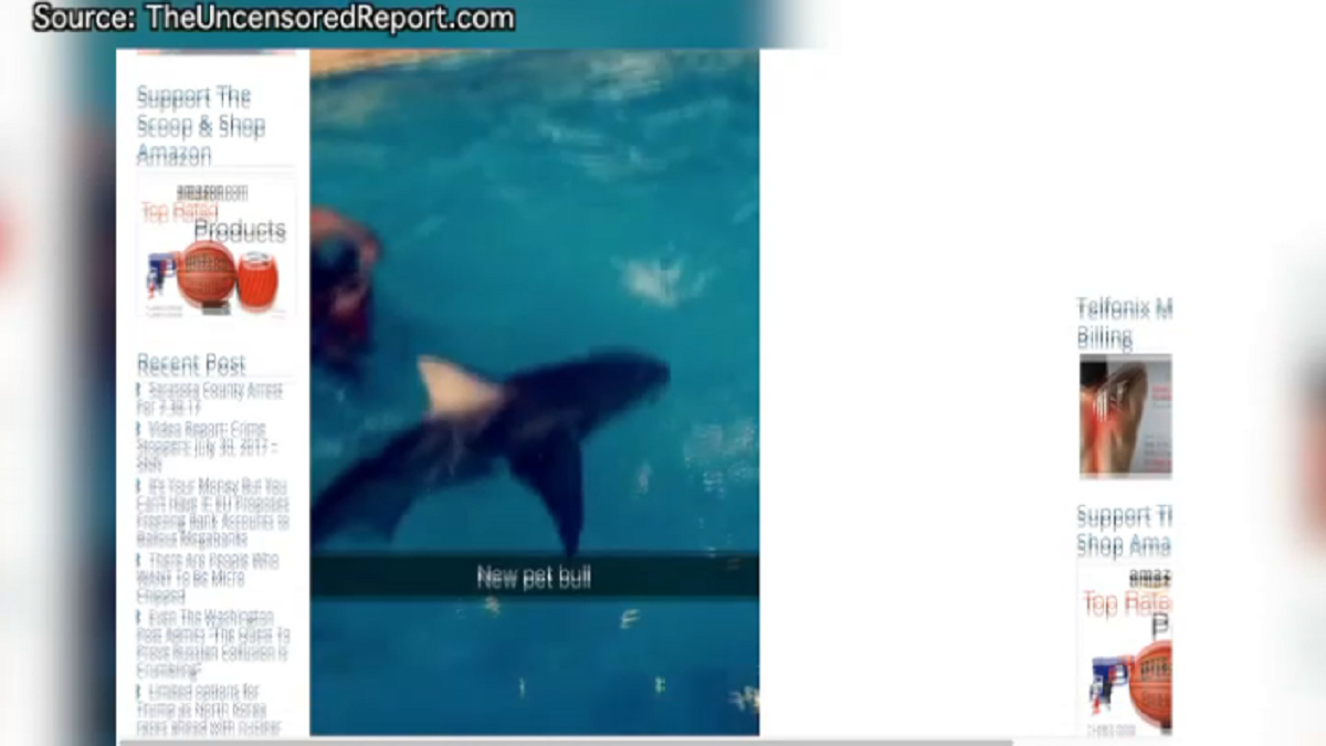 New Pictures of Shark In Pool Are Part of FWC Investigation
