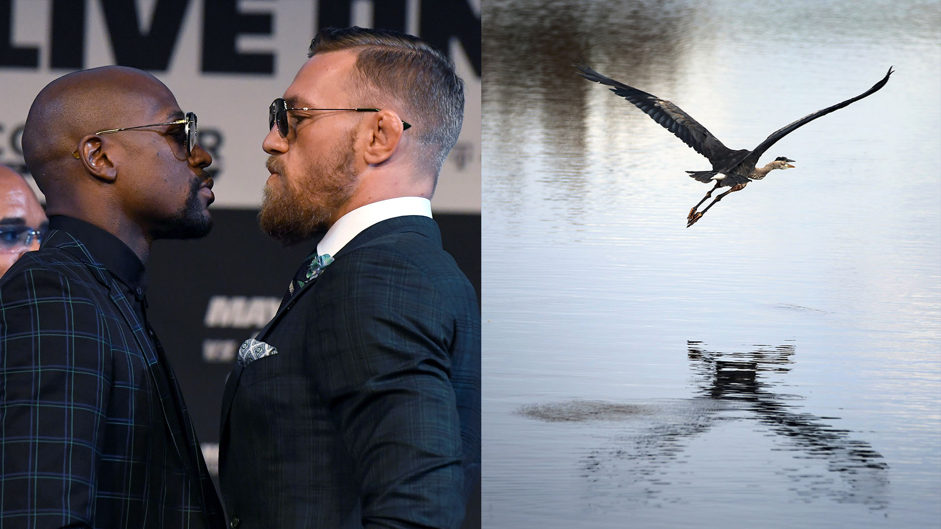 Weekend Planner: Mayweather Fight, Free Park Entry, & More