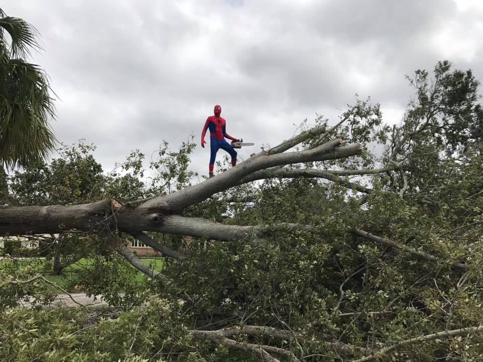 Chainsaw-Wielding Spider-Man Goes Viral After Hurricane Irma