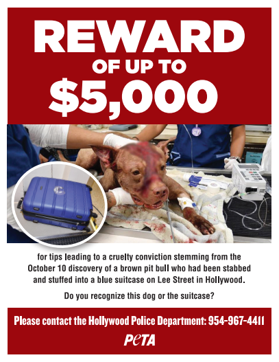 PETA Offering $5,000 Reward For Help In Dog Stabbing Case