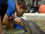 Blind Teens Swim With the Dolphins