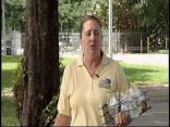 Homeowner Tips for Dengue Fever