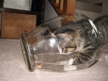 Internet Hoaxes To Remember