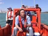 The Real Miami Dolphins In Danger