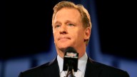 Goodell Non-Committal on S. Florida Super Bowl