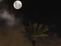 What a Little Moonlight Can Do