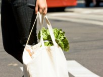 Could Florida Just Say No to Paper and Plastic?