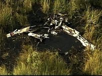 Rescuers Find Dead Bodies in Everglades Plane Crash
