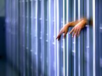 Florida Felon Stars in Prison Break In