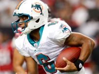 The Dolphins' White Knight