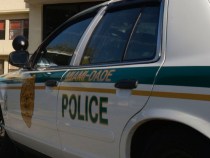 Cops Kill Suspect Who Burned Mother to Death