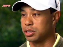 Tiger Boots Up Apologotron2000 Remorse Simulator