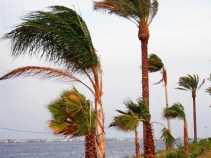 2009 Hurricane Forecast