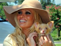 Cause Celebs: Pamela Anderson Adopts and Relocates Oil Spill Dogs