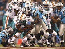 Dolphins Slug It Out at Carolina