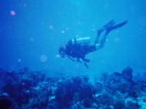 Man Dies During Key West Dive