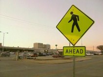 Protecting Pedestrians in Miami