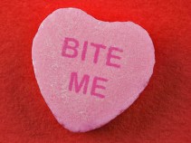 How Romantic! Miami Named a City for Lovers