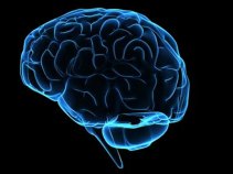 Banking Your Brain