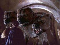 Breeder Busted for Creating a Super Dog