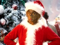 South Beach Grinch Targeting Synagogues and Churches