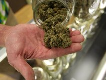 Miami Man Caught With 7 Pounds of Pot