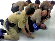 Mohawked Man Goes on Miami Airport Assault