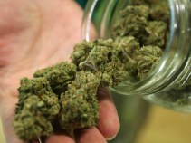 Man Dies After Swallowing Weed