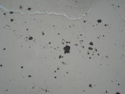 Tar Balls Confirmed On Key Biscayne