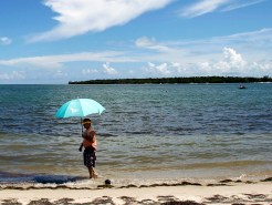 Mostly Sunny Thursday With Highs in Upper 70s