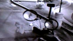 Bike Thief Wipes Out