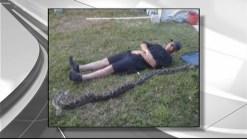 Man Catches Burmese Python