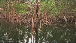 Weekend Adventure- Water Excursion