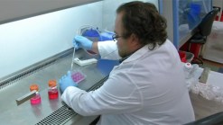 Scientists Warn of Health Research Funding Cuts' Costs