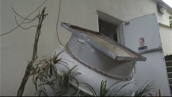 Roof Worker Bitten by Police Dog in Late-Night Davie Encounter: Authorities