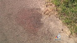 Miramar Shooting Victims Dropped Off on Man's Front Yard