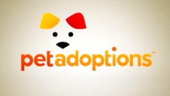 Pet Adoptions: 