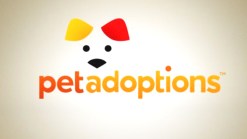 Pet Adoptions: 