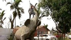 Man Puts Giant Elephant Structure Outside Home in Southwest Miami-Dade