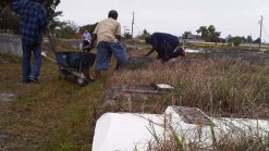 Tombs at Miami-Dade Cemetery Vandalized