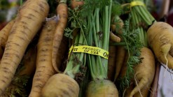 Community-Based Group Teaches About Organic Foods