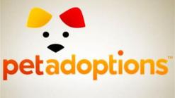 Pet Adoptions: 