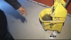 Families Displaced After Rain Causes Roof Collapse at Davie Apartment Building