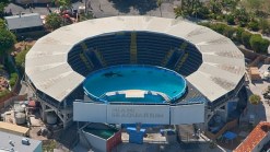 Petition for Killer Whale Lolita Under Review