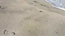Broward Warns Swimmers About 4 Beaches
