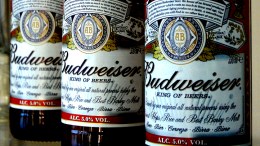 Watered Down Budweiser?