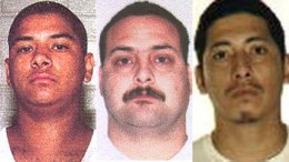 LAPD'S Most Wanted